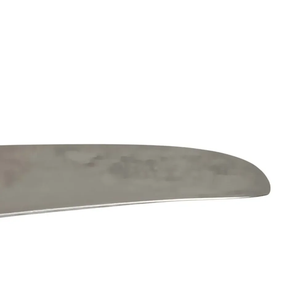 Reed & Barton Queens Garden 9 Dinner Knives Glossy Stainless Flatware Floral